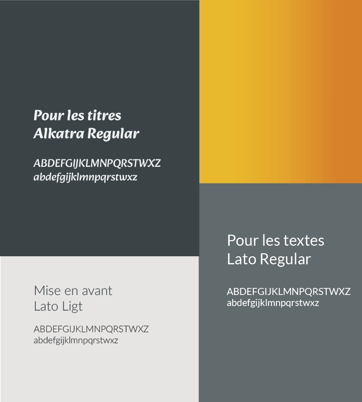 Mini charte graphique de  Izi